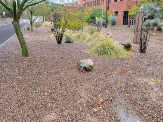 Permeable Pavement at the Science Concourse