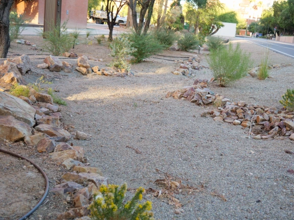Dry rain garden basin near Gould Simpson