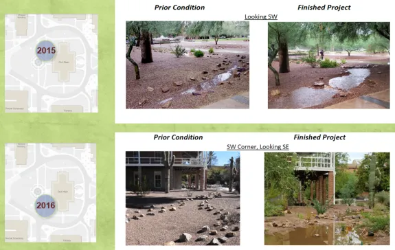Creating rain garden basins with the Water Harvesting course